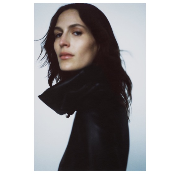 Zara High Collar Minj Dress - Picture 5 of 6